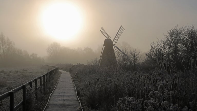 A foggy morning on Sedge Fen at Wicken Fen National Nature Reserve, Cambridgeshire